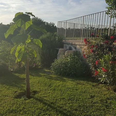 Casa La Pineta Villa Pievescola Bagian luar foto